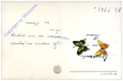 Loukovit, Vue generale