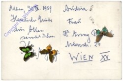 Athen, The American fleet in Phaleron