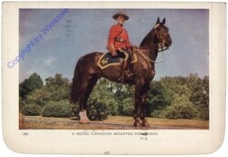 Allgemein, A Royal Canadian Mounted Policeman