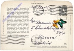 Allgemein, A Royal Canadian Mounted Policeman