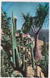 Monaco, Jardin exotique