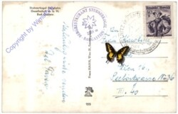 Bad Gastein, Stubnerkogel Bergbahn