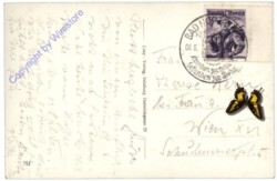 Bad Gastein, Böckstein