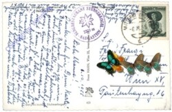 Bad Gastein, Stubnerkogel, Bergrestaurant