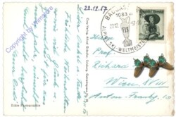 Bad Gastein, Ortsansicht