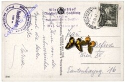 Bischofshofen, Ansicht