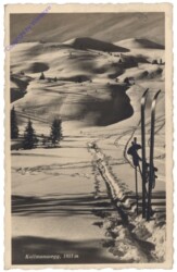 Dienten, Kollmannsegg