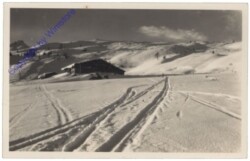 Flachau, Ansicht