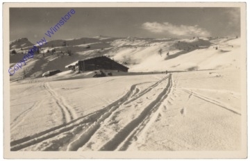 Flachau, Ansicht