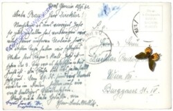 Großgmain, mit Untersberg