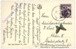 Mittersill, g.d. Wildgerlostal u.d. Reichenspitzgruppe