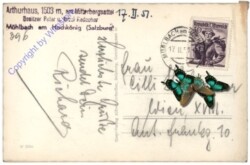 Mühlbach am Hochkönig, Arthurhaus mit Manndlwand