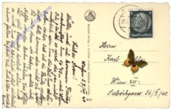 Mühlbach am Hochkönig, Arthurhaus mit Manndlwand und Hochkönig