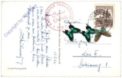 Radstädter Tauern, Plattenkar-Lift