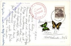 Radstädter Tauern, Platten- und Gamskarspitze