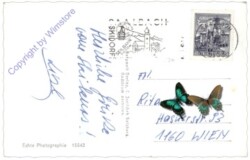 Saalbach-Hinterglemm, Spieleckkogel