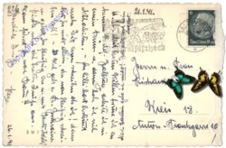 Salzburg, Winterpracht