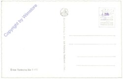 Salzburg, Franziskanerkirche, Die Madonna von Pacher