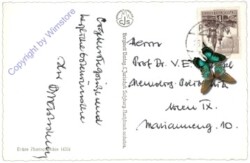 Salzburg, Schloss Anif