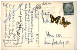 Salzburg, Staatsbrücke