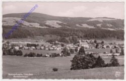 Thalgau, Ortsansicht