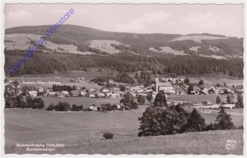 Thalgau, Ortsansicht