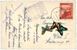 Wagrain, Wagrainerhaus