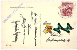 ak173466a Wagrain, Wagrainerhaus