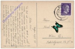 Werfen, Torsäule am Hochkönig