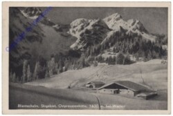 Werfen, Blientechalm