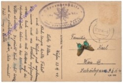 Werfen, Blientechalm