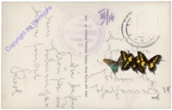 Werfen, Eisriesenwelt, Thor's Eispalast