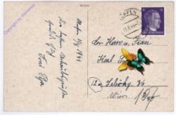 Werfen, Burg Hohenwerfen