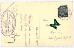 Werfen, Ostpreussenhütte a. Rettenbachriedl