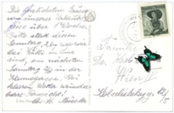 Zell am See, g.d. Stein. Meer