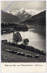 Zell am See, mit Kitzsteinhorn
