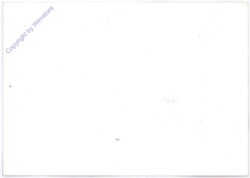 Autogrammkarte Lukas Permanschlager