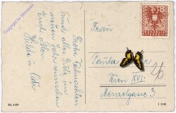 Korb mit Kerzen und Obst