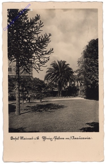 ak174018 Insel Mainau, Ansicht