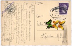 Insel Mainau, Ansicht