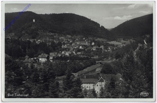 Bad Liebenzell, Ansicht