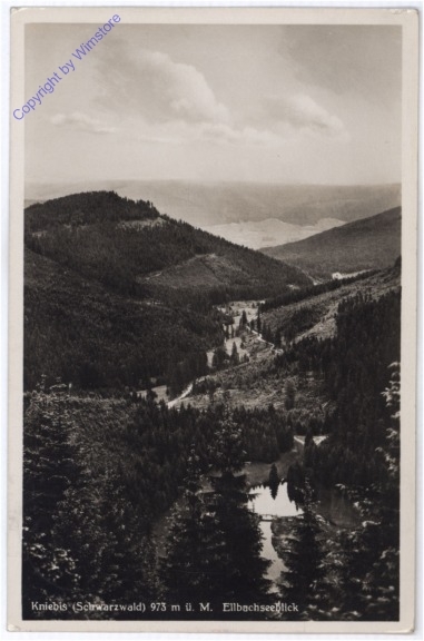 Kniebis, Ellbachseeblick