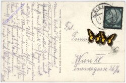 ak174028a Kniebis, Ellbachseeblick