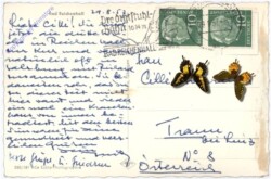 Bad Reichenhall, Ansicht