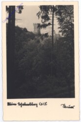 Schaumburg, Ruine