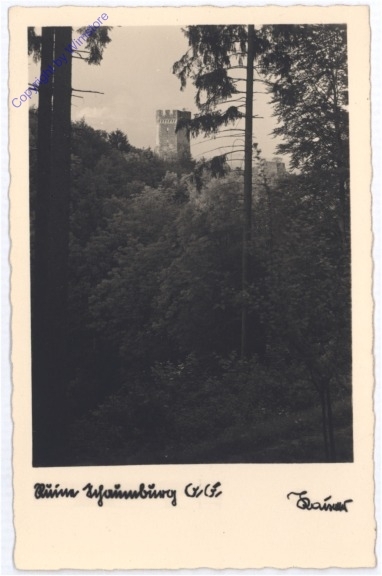 Schaumburg, Ruine