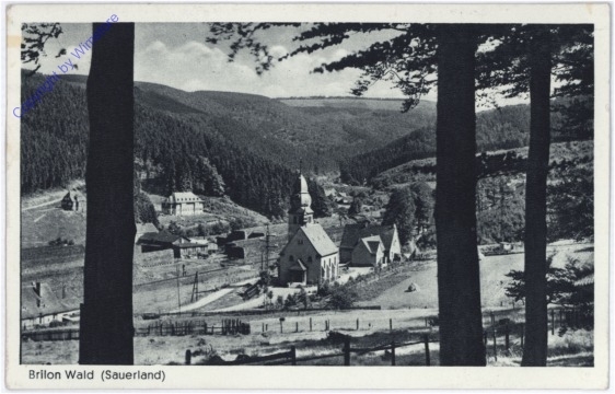 Brilon Wald