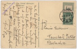 Torgau an der Elbe, Schloss Hartenfels