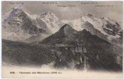 Panorama vom Männlichen