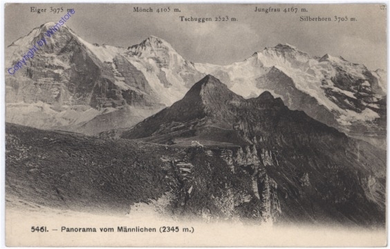 Panorama vom Männlichen